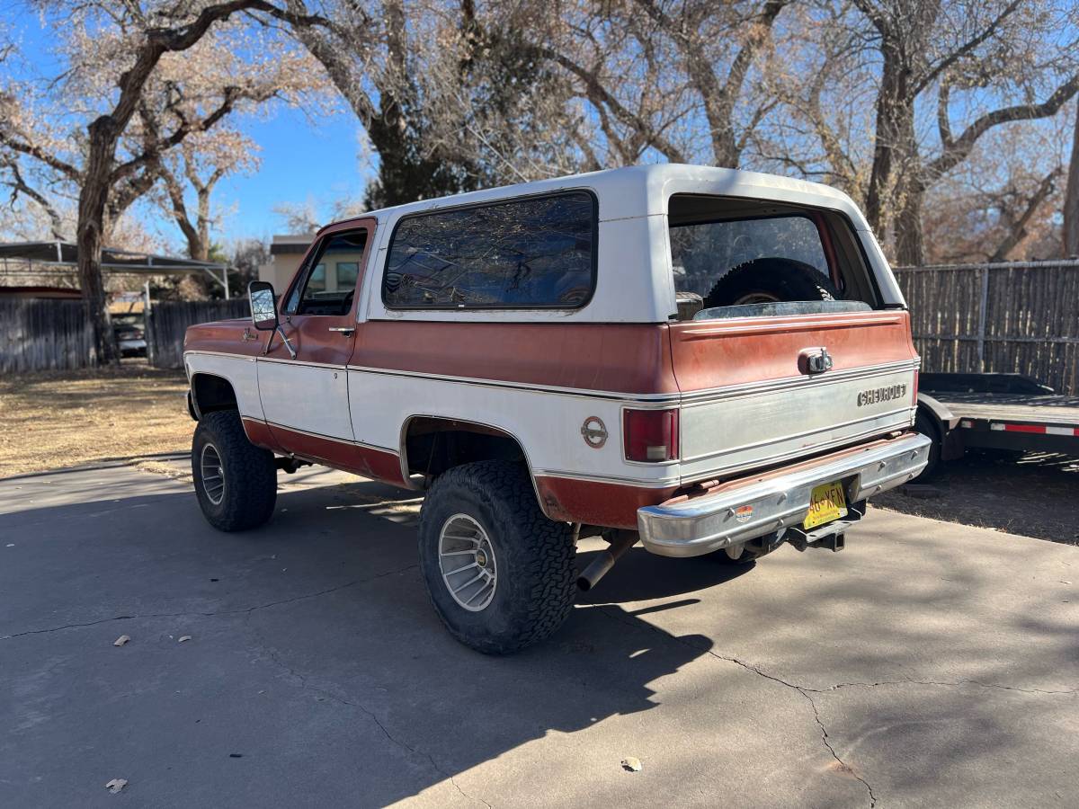 Chevrolet-Blazer-1978-brown-160934-1