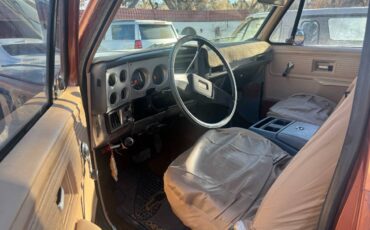 Chevrolet-Blazer-1978-brown-160934-10