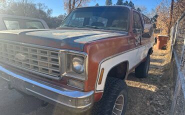 Chevrolet-Blazer-1978-brown-160934-11