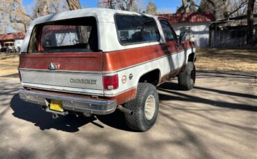 Chevrolet-Blazer-1978-brown-160934-2