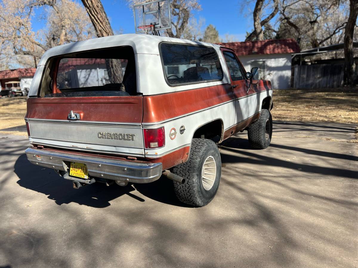 Chevrolet-Blazer-1978-brown-160934-2