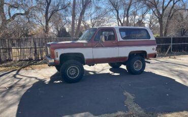 Chevrolet-Blazer-1978-brown-160934