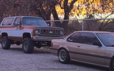 Chevrolet-Blazer-1978-brown-160934-4