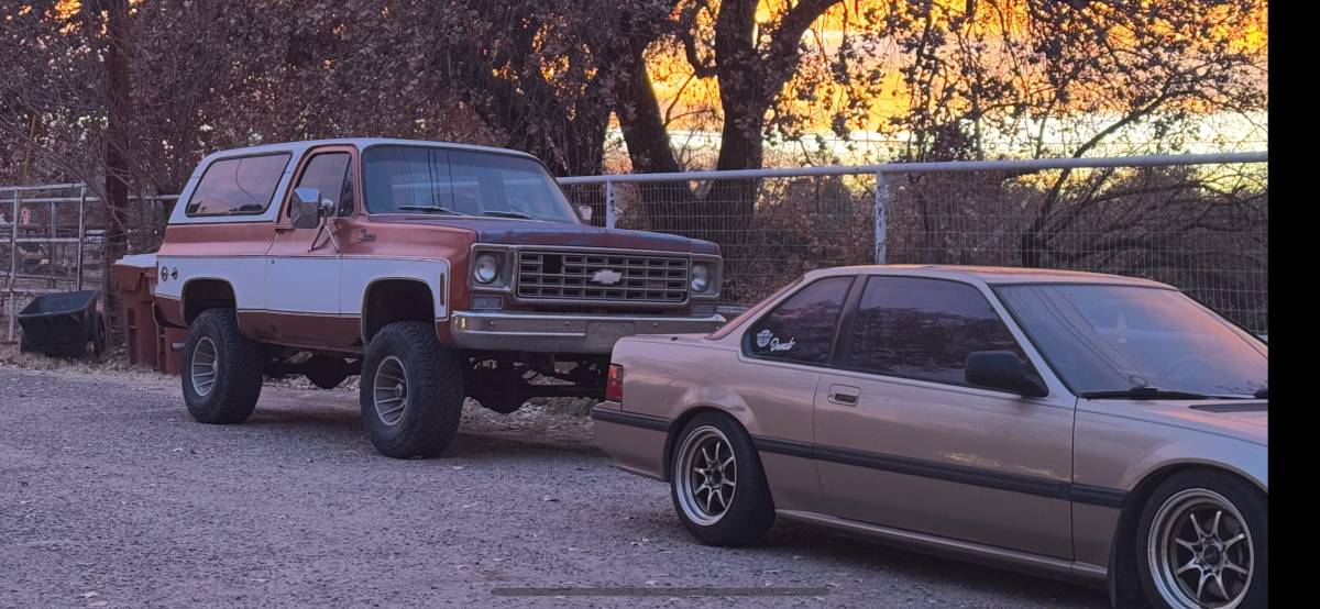 Chevrolet-Blazer-1978-brown-160934-4