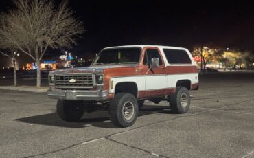 Chevrolet-Blazer-1978-brown-160934-5