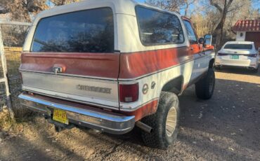 Chevrolet-Blazer-1978-brown-160934-6