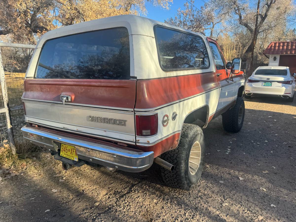 Chevrolet-Blazer-1978-brown-160934-6