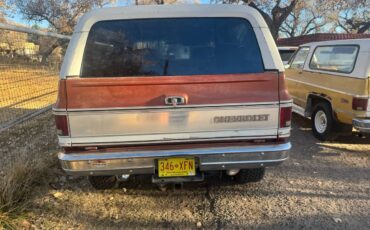 Chevrolet-Blazer-1978-brown-160934-7