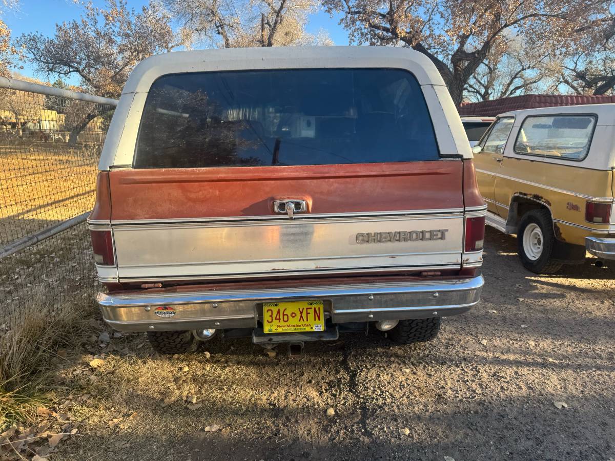 Chevrolet-Blazer-1978-brown-160934-7