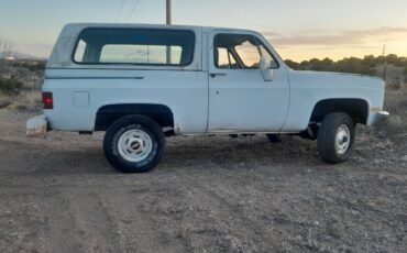 Chevrolet-Blazer-1984-White-Blue-178637-1