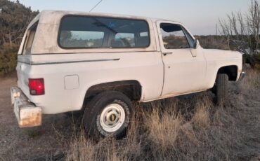 Chevrolet-Blazer-1984-White-Blue-178637-3