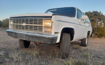 Chevrolet-Blazer-1984-White-Blue-178637-4