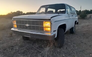 Chevrolet-Blazer-1984-White-Blue-178637-5