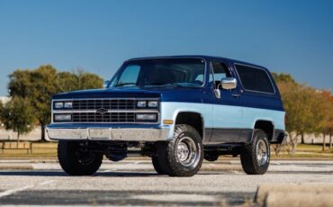 Chevrolet-Blazer-1989-Blue-Gray-17881-1