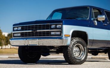 Chevrolet-Blazer-1989-Blue-Gray-17881-10