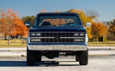 Chevrolet-Blazer-1989-Blue-Gray-17881-16