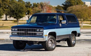 Chevrolet-Blazer-1989-Blue-Gray-17881-2