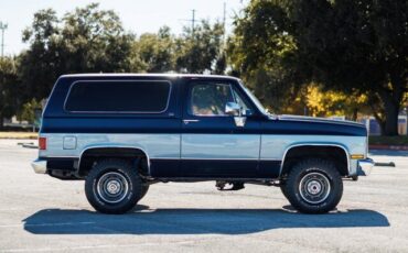 Chevrolet-Blazer-1989-Blue-Gray-17881-21