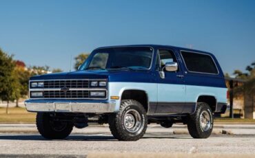 Chevrolet-Blazer-1989-Blue-Gray-17881-3