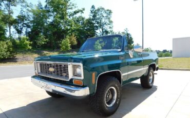 Chevrolet-Blazer-Cabriolet-1973-Green-Saddle-157106-4