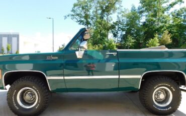 Chevrolet-Blazer-Cabriolet-1973-Green-Saddle-157106-6