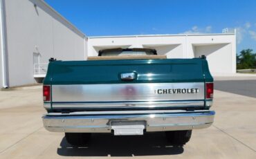 Chevrolet-Blazer-Cabriolet-1973-Green-Saddle-157106-9