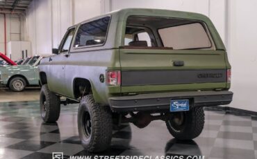 Chevrolet-Blazer-SUV-1979-Green-Tan-90881-10