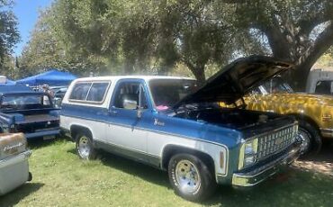 Chevrolet-Blazer-SUV-1980-Blue-120701-13