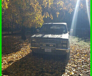 Chevrolet Blazer SUV 1987 à vendre