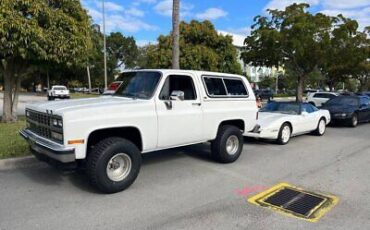 Chevrolet-Blazer-SUV-1989-White-Gray-52249-1