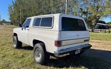 Chevrolet-Blazer-SUV-1989-White-Gray-52249-3