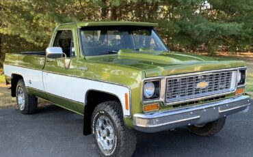 Chevrolet-C-10-1973-LIME-GREEN-AVOCADO-59551-1