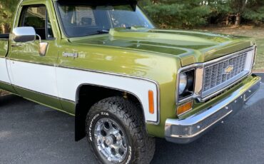 Chevrolet-C-10-1973-LIME-GREEN-AVOCADO-59551-13