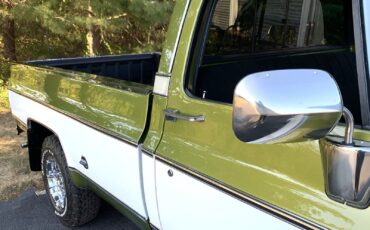 Chevrolet-C-10-1973-LIME-GREEN-AVOCADO-59551-14