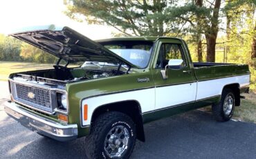 Chevrolet-C-10-1973-LIME-GREEN-AVOCADO-59551-15