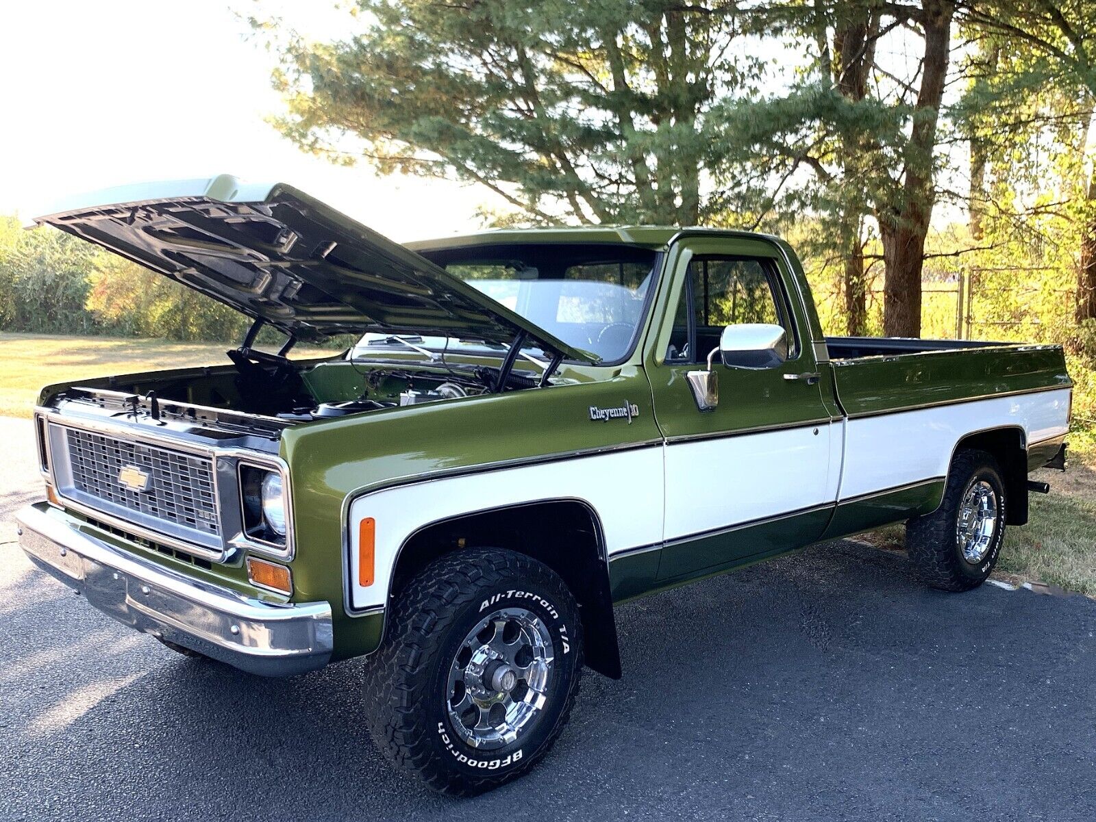 Chevrolet-C-10-1973-LIME-GREEN-AVOCADO-59551-15