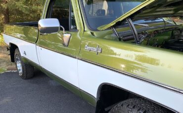 Chevrolet-C-10-1973-LIME-GREEN-AVOCADO-59551-16