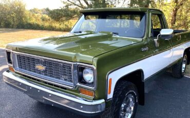 Chevrolet-C-10-1973-LIME-GREEN-AVOCADO-59551-17