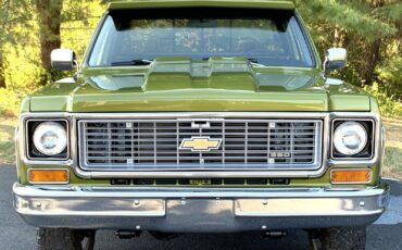 Chevrolet-C-10-1973-LIME-GREEN-AVOCADO-59551-2