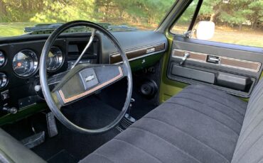 Chevrolet-C-10-1973-LIME-GREEN-AVOCADO-59551-25