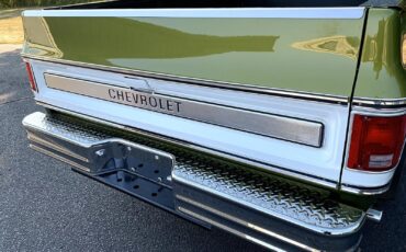 Chevrolet-C-10-1973-LIME-GREEN-AVOCADO-59551-29