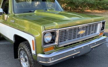 Chevrolet-C-10-1973-LIME-GREEN-AVOCADO-59551-3