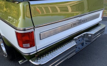 Chevrolet-C-10-1973-LIME-GREEN-AVOCADO-59551-30