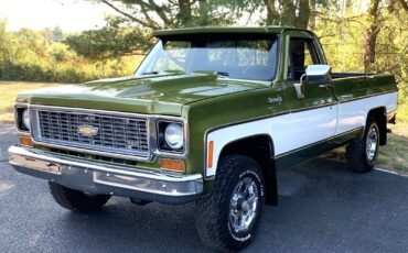 Chevrolet-C-10-1973-LIME-GREEN-AVOCADO-59551-4