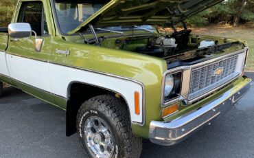 Chevrolet-C-10-1973-LIME-GREEN-AVOCADO-59551-6