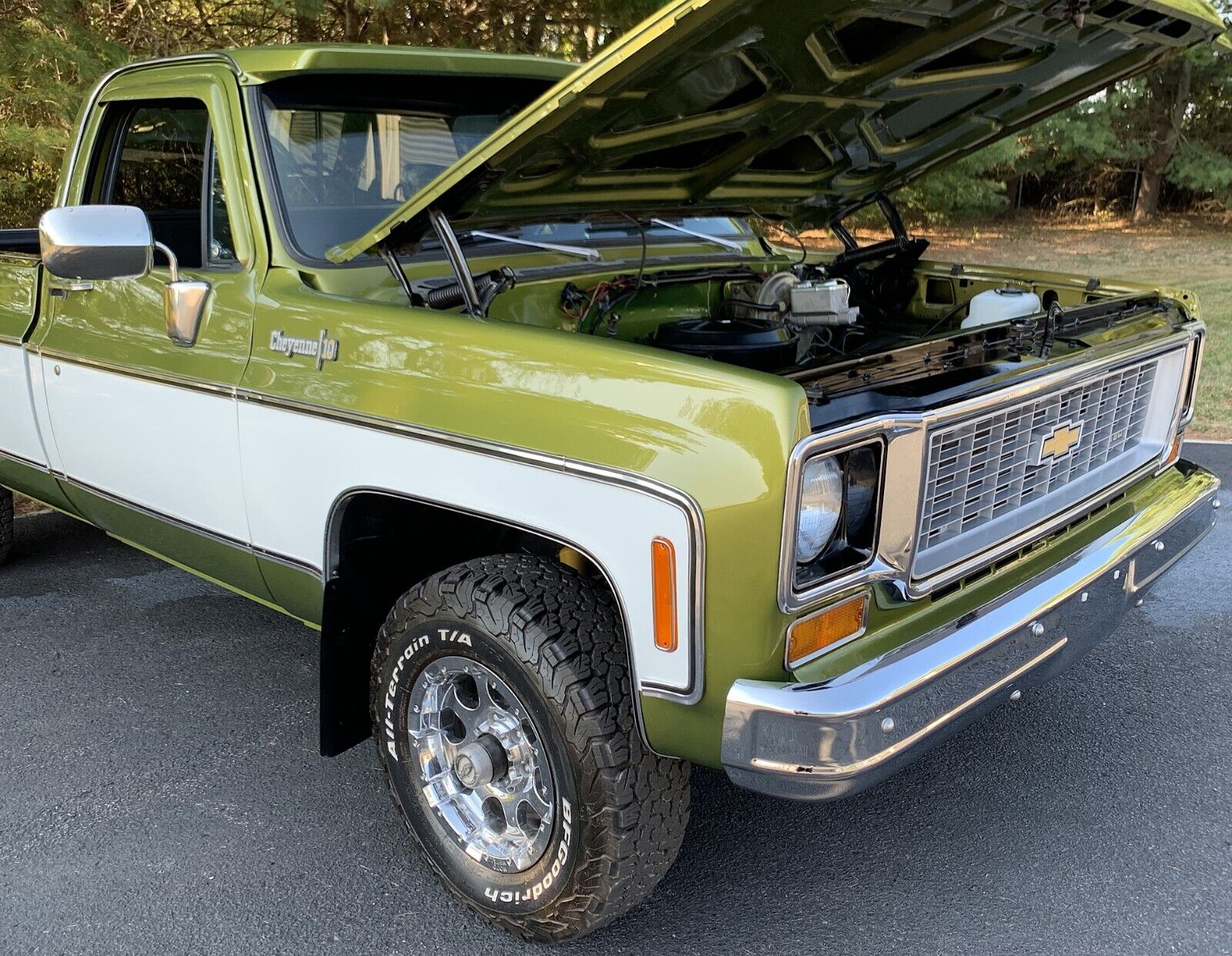 Chevrolet-C-10-1973-LIME-GREEN-AVOCADO-59551-6