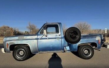 Chevrolet-C-10-1976-Blue-80467-1