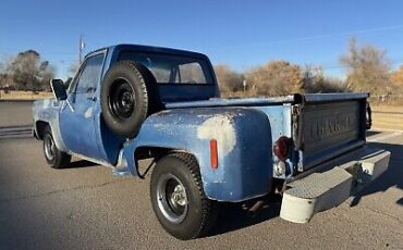 Chevrolet-C-10-1976-Blue-80467-10