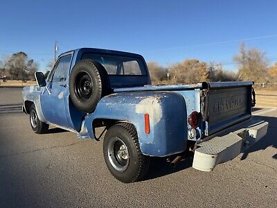 Chevrolet-C-10-1976-Blue-80467-10