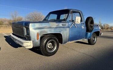 Chevrolet-C-10-1976-Blue-80467-11